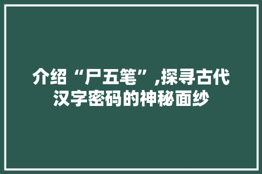 介绍“尸五笔”,探寻古代汉字密码的神秘面纱
