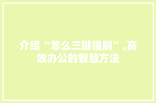 介绍“怎么三键强刷”,高效办公的智慧方法