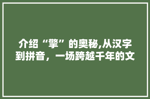 介绍“擎”的奥秘,从汉字到拼音，一场跨越千年的文化之旅