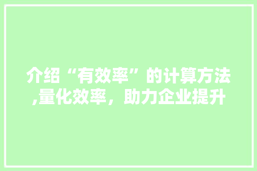 介绍“有效率”的计算方法,量化效率，助力企业提升竞争力