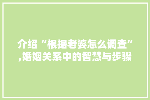 介绍“根据老婆怎么调查”,婚姻关系中的智慧与步骤