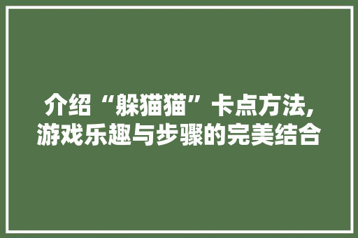 介绍“躲猫猫”卡点方法,游戏乐趣与步骤的完美结合
