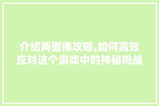 介绍两面佛攻略,如何高效应对这个游戏中的神秘挑战