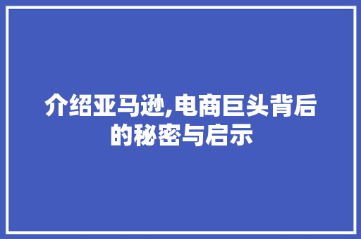 介绍亚马逊,电商巨头背后的秘密与启示