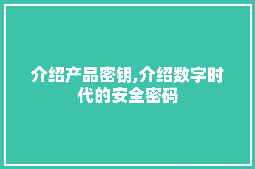介绍产品密钥,介绍数字时代的安全密码