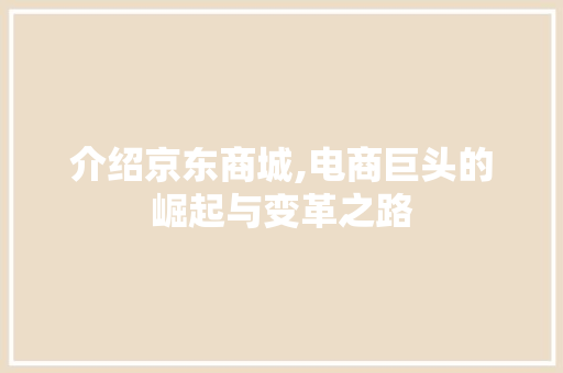介绍京东商城,电商巨头的崛起与变革之路