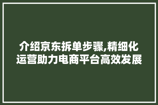 介绍京东拆单步骤,精细化运营助力电商平台高效发展