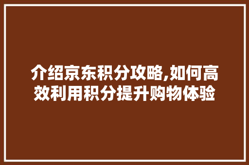 介绍京东积分攻略,如何高效利用积分提升购物体验