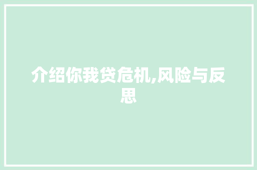 介绍你我贷危机,风险与反思