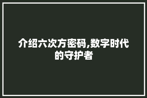 介绍六次方密码,数字时代的守护者