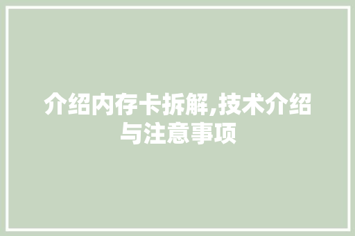 介绍内存卡拆解,技术介绍与注意事项