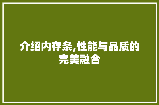 介绍内存条,性能与品质的完美融合