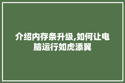 介绍内存条升级,如何让电脑运行如虎添翼