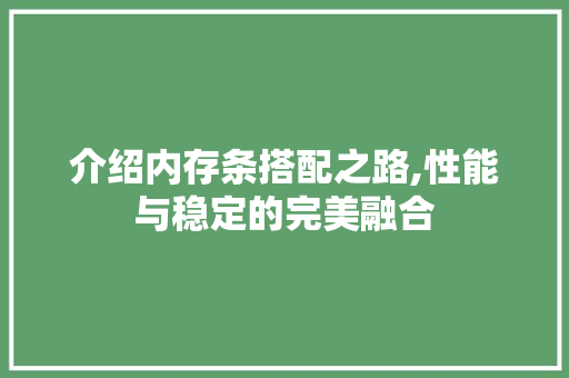 介绍内存条搭配之路,性能与稳定的完美融合