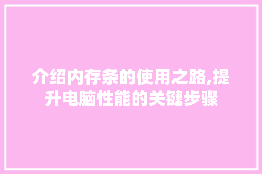介绍内存条的使用之路,提升电脑性能的关键步骤