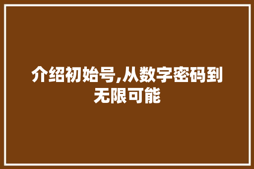 介绍初始号,从数字密码到无限可能