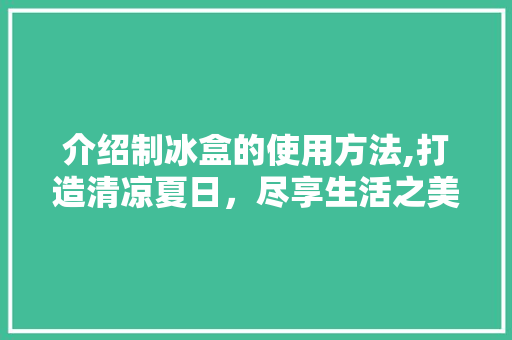 介绍制冰盒的使用方法,打造清凉夏日，尽享生活之美