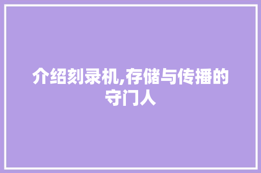 介绍刻录机,存储与传播的守门人