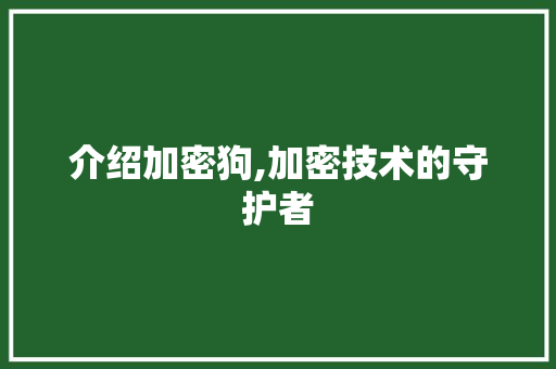 介绍加密狗,加密技术的守护者