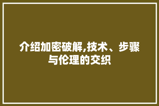 介绍加密破解,技术、步骤与伦理的交织