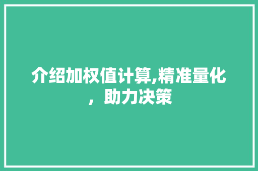 介绍加权值计算,精准量化，助力决策