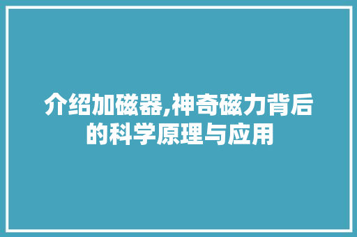介绍加磁器,神奇磁力背后的科学原理与应用