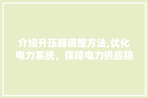 介绍升压器调整方法,优化电力系统，保障电力供应稳定