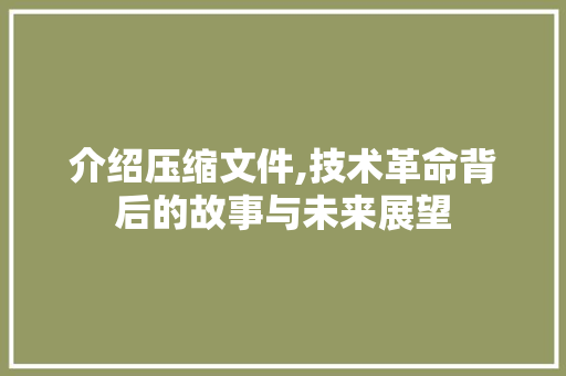 介绍压缩文件,技术革命背后的故事与未来展望