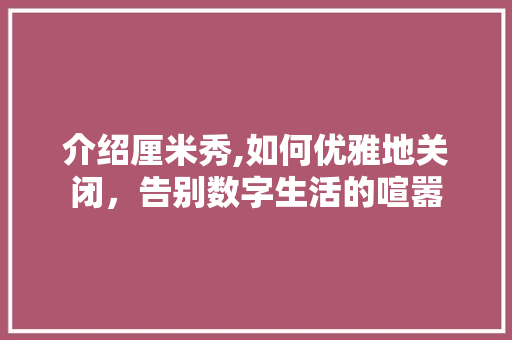 介绍厘米秀,如何优雅地关闭，告别数字生活的喧嚣