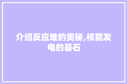 介绍反应堆的奥秘,核能发电的基石