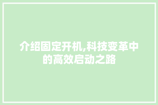 介绍固定开机,科技变革中的高效启动之路