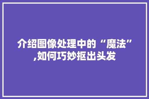 介绍图像处理中的“魔法”,如何巧妙抠出头发