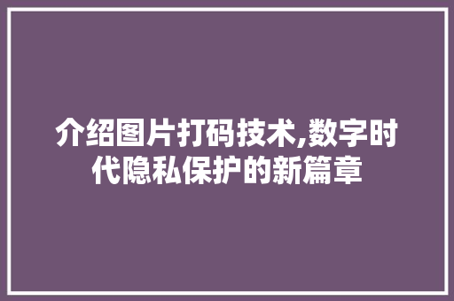 介绍图片打码技术,数字时代隐私保护的新篇章