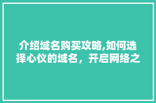 介绍域名购买攻略,如何选择心仪的域名，开启网络之旅