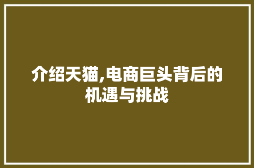 介绍天猫,电商巨头背后的机遇与挑战