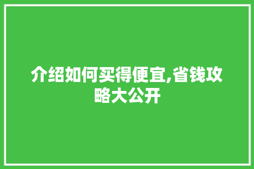 介绍如何买得便宜,省钱攻略大公开