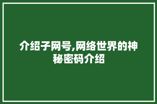 介绍子网号,网络世界的神秘密码介绍