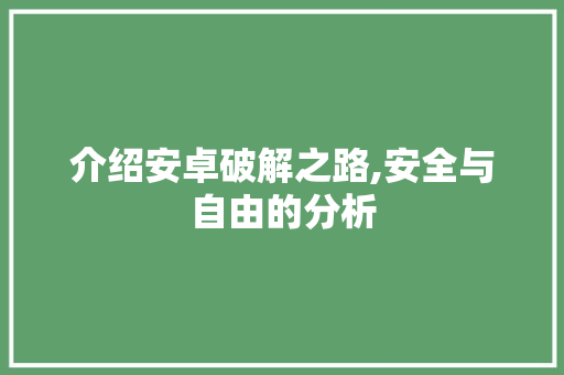 介绍安卓破解之路,安全与自由的分析