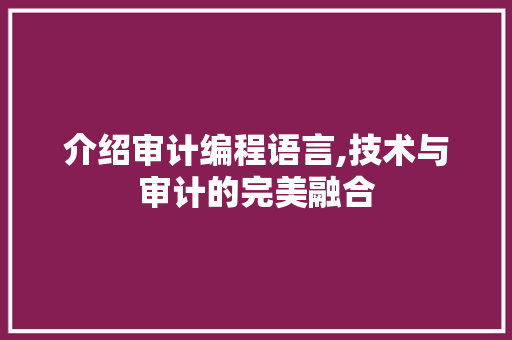 介绍审计编程语言,技术与审计的完美融合