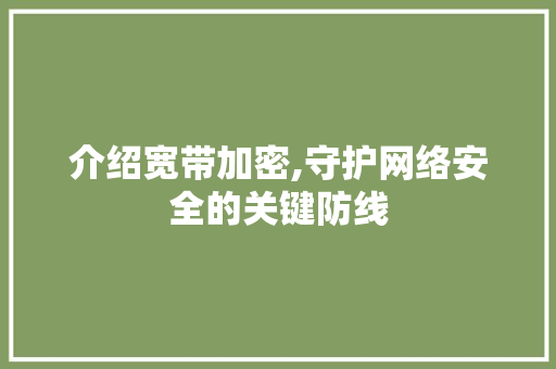 介绍宽带加密,守护网络安全的关键防线