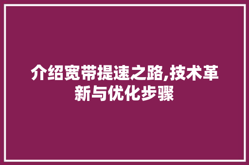 介绍宽带提速之路,技术革新与优化步骤