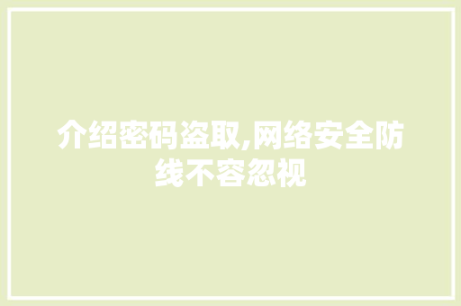 介绍密码盗取,网络安全防线不容忽视