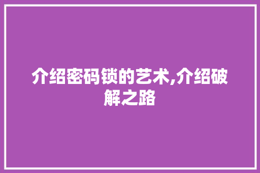 介绍密码锁的艺术,介绍破解之路