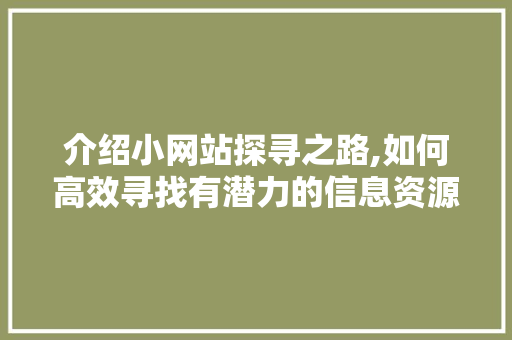 介绍小网站探寻之路,如何高效寻找有潜力的信息资源