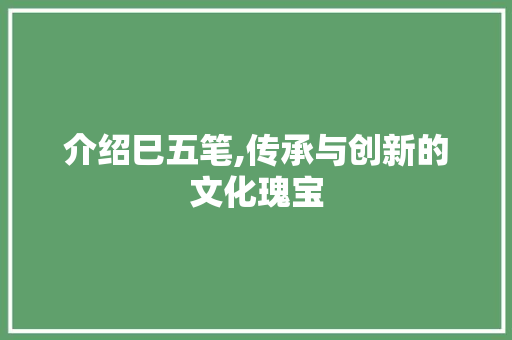 介绍巳五笔,传承与创新的文化瑰宝