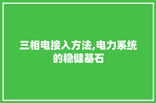 三相电接入方法,电力系统的稳健基石