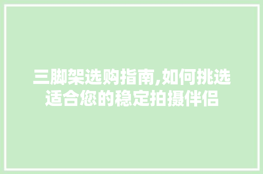 三脚架选购指南,如何挑选适合您的稳定拍摄伴侣