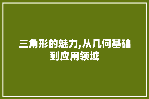 三角形的魅力,从几何基础到应用领域