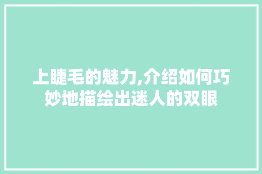 上睫毛的魅力,介绍如何巧妙地描绘出迷人的双眼