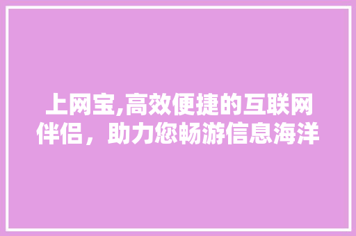 上网宝,高效便捷的互联网伴侣，助力您畅游信息海洋
